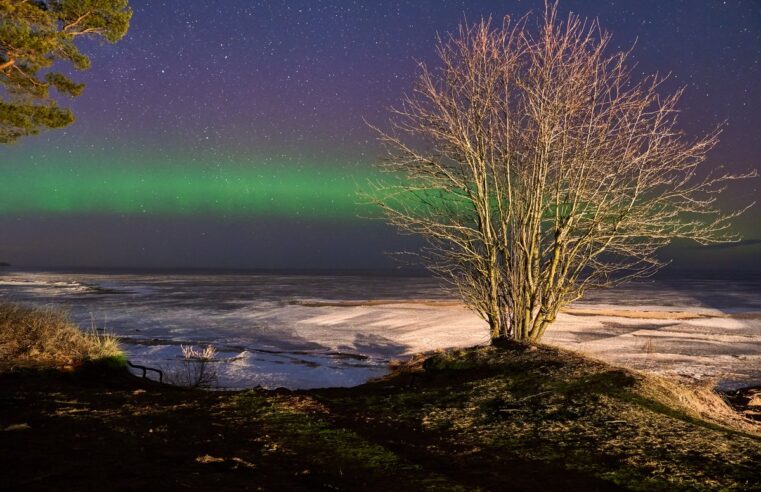 Auroras boreales: el fenómeno solar que impacta en las comunicaciones