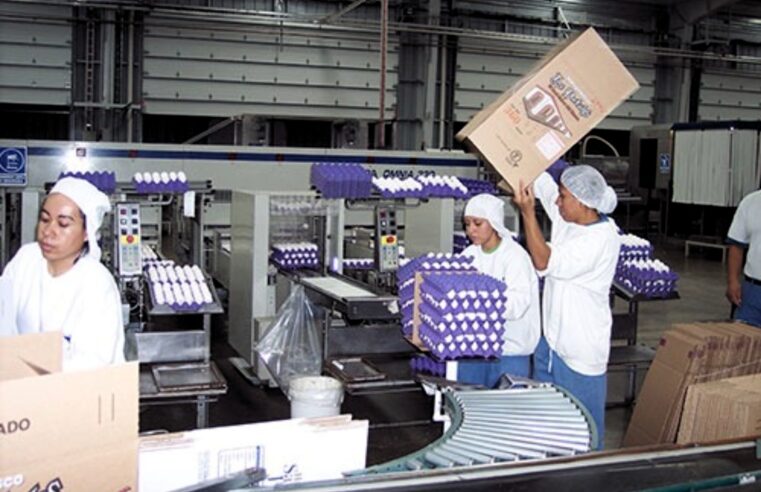 Investigación sobre seguridad alimentaria de la Universidad Nacional de Luján es premiada por la Asociación Latinoamericana de Avicultura (ALA)