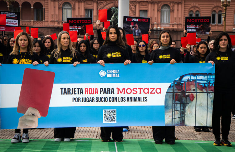 Tarjeta roja para Mostaza: activistas de 6 países llegaron a Plaza de Mayo para denunciar que la empresa