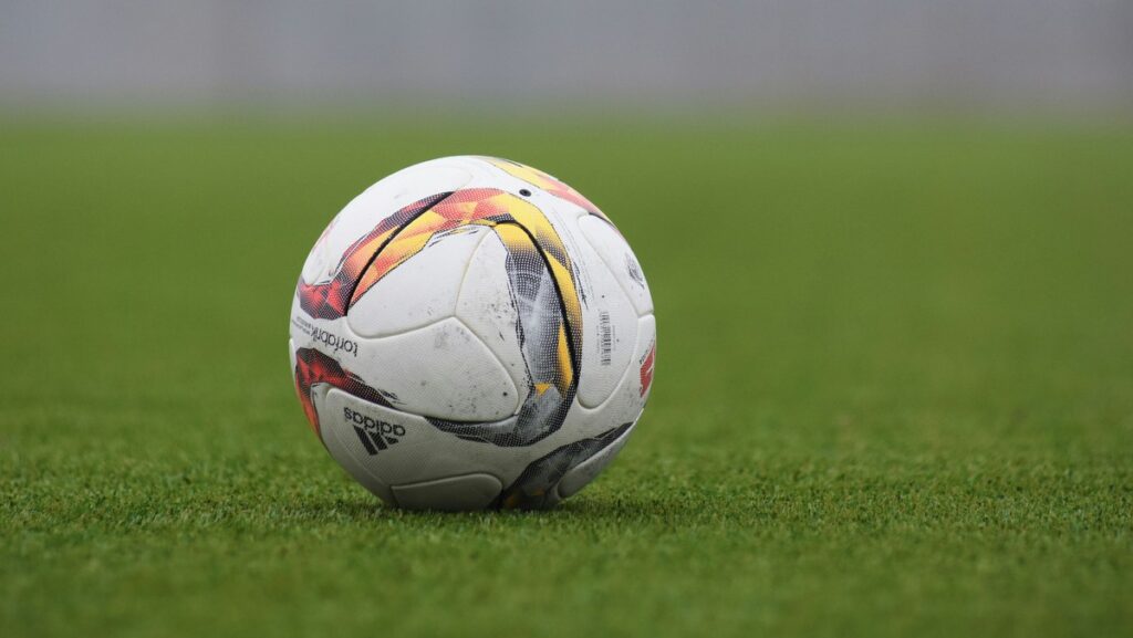 pelota
